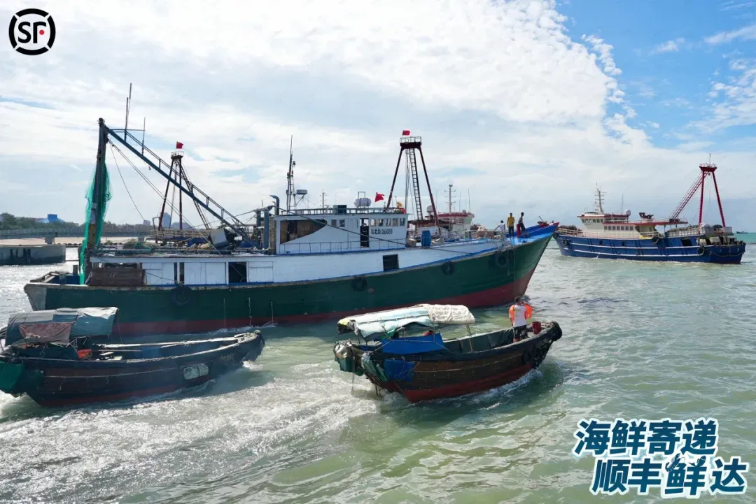 开海1.webp
